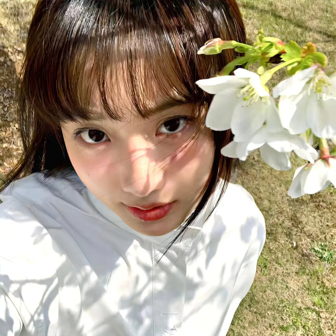 藤本树