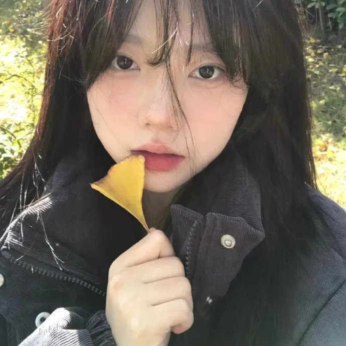 赵文轩